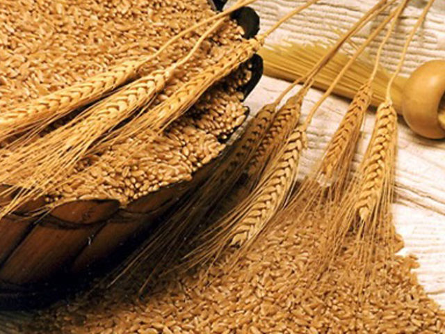 durum1